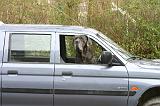 VOITURE - CAR 220